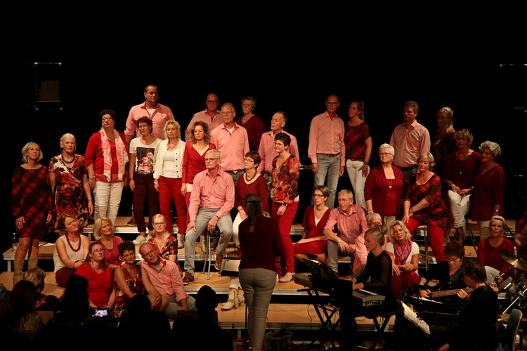 Bijzonder concert Popkoor Join's Meeting - Hollands Kroon Actueel